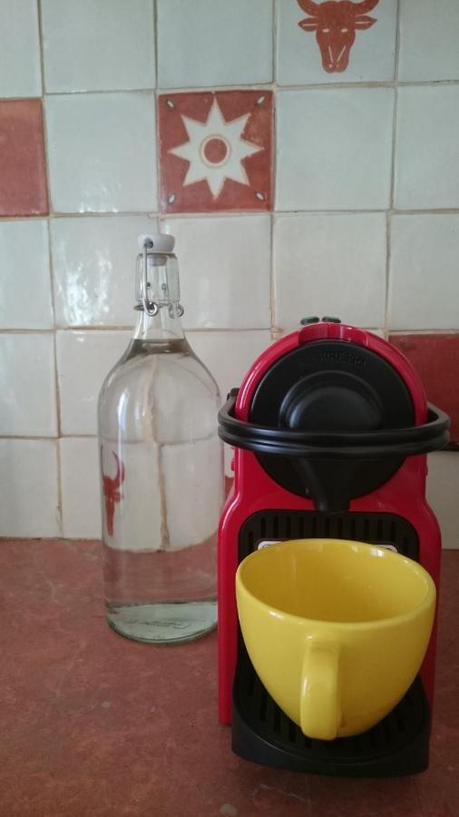 شقة Ceret Pyrenean Star المظهر الخارجي الصورة